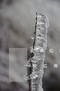 花旗信用卡逾期如何協(xié)商(花旗銀行信用卡逾期是否可以溝通免息)