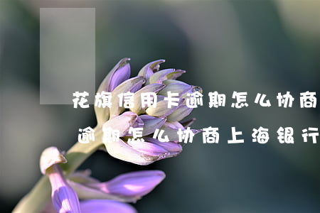 花旗信用卡逾期怎么协商上海-花旗信用卡逾期怎么协商上海银行