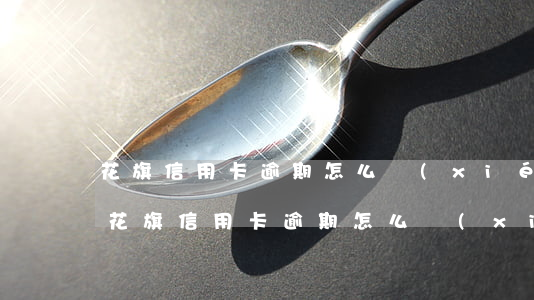 花旗信用卡逾期怎么協(xié)商上海-花旗信用卡逾期怎么協(xié)商上海銀行