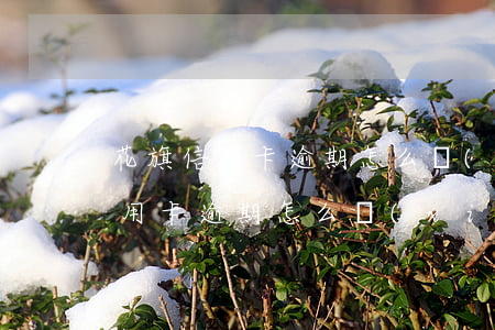 花旗信用卡逾期怎么協(xié)商(花旗信用卡逾期怎么協(xié)商)