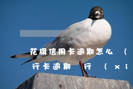 花旗信用卡逾期怎么協(xié)商銀行 銀行卡逾期銀行協(xié)商不了