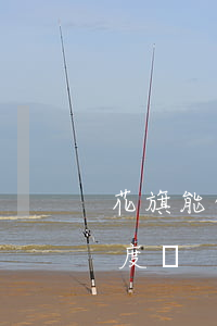 花旗能做個性化分期嗎(花旗分期有利于提額度嗎)