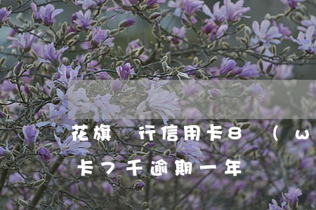 花旗銀行信用卡8萬(wàn)已逾期(信用卡7千逾期一年)