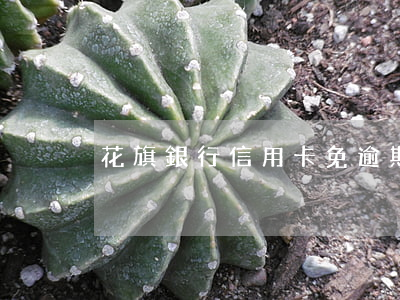 花旗銀行信用卡免逾期幾天