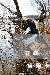 花旗銀行信用卡欠10萬逾期了-花旗銀行信用卡欠10萬逾期了怎么辦