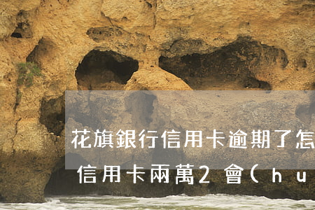 花旗銀行信用卡逾期了怎么辦-欠花旗銀行信用卡兩萬2會(huì)不會(huì)被起訴