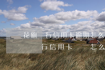 花旗銀行信用卡逾期怎么協(xié)商-與銀行信用卡糾紛怎么投訴