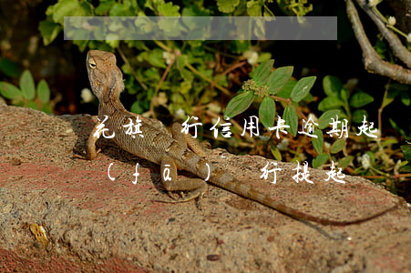 花旗銀行信用卡逾期起訴浦發(fā) 浦發(fā)銀行提起訴訟