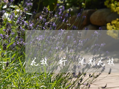 花旗銀行寬限期(花旗銀行晚還款一天上征信嗎)