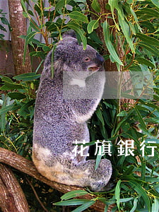 花旗銀行貸款(花旗銀行貸款好批嗎)