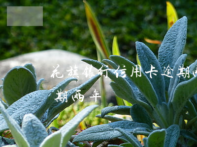 花旗银行信用卡逾期两年(花旗银行信用卡逾期两年)