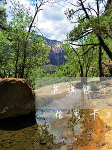 花旗银行信用卡逾期会怎么样上海(花旗银行信用卡8万已逾期)