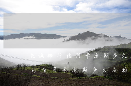 花旗银行信用卡逾期多久会被停用-花旗银行信用卡逾期多久会被停用呢