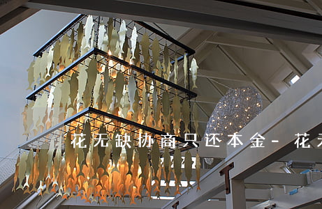 花无缺协商只还本金-花无缺借款