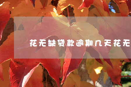 花无缺贷款逾期几天(花无缺贷款逾期几天)