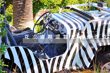 花次逾期還款怎么修改(花被更改還款日期)
