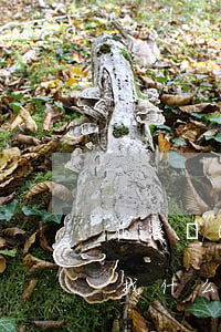 花溪區(qū)勞動(dòng)合同糾紛找什么部門(mén)(花溪區(qū)勞動(dòng)仲裁委員會(huì))