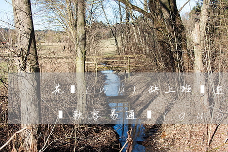 花無(wú)缺上班貸逾期(花無(wú)缺貸款容易通過(guò)嗎)