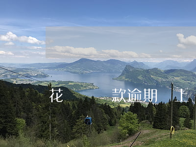 花無盡貸款逾期會上門么(花無盡貸款可靠嗎)