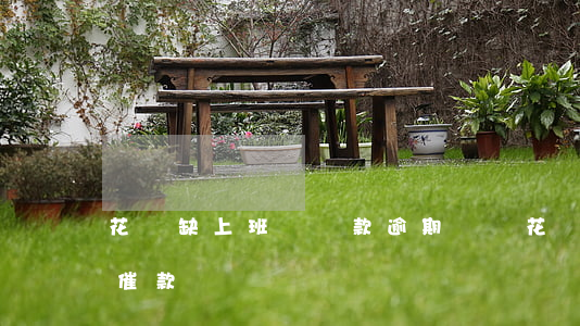 花無缺上班貸貸款逾期(無憂花沒有借款卻被催款)