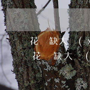 花無缺大學(xué)貸逾期群發(fā) 花無缺大學(xué)貸停用了嗎