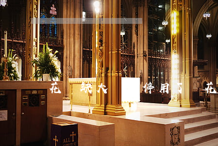 花無缺大學貸停用了嗎（花無缺大學貸逾期）