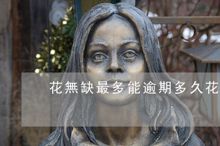 花無缺最多能逾期多久(花無缺借款下架了嗎)