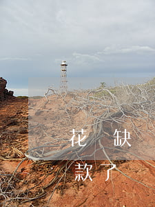花無缺貸款逾期會怎樣(花無缺上班貸停止放款了嗎)