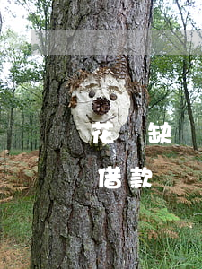 花無缺貸款逾期發(fā)照片(花無缺5天借款)