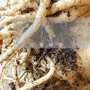 花瓣逾期凍結(jié)(花瓣賬號被凍結(jié))