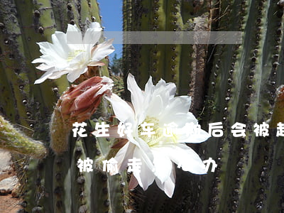 花生好车逾期后会被起诉吗 花生好车逾期车被偷走怎么办