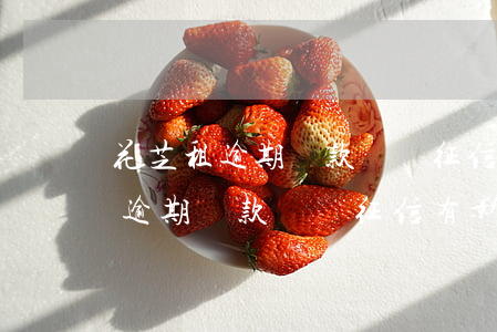 花芝租逾期還款會對征信有影響嗎-花芝租逾期還款會對征信有影響嗎知乎