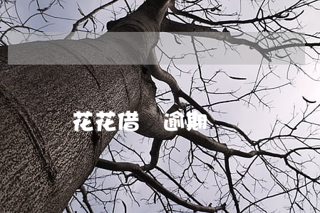 花花借唄逾期