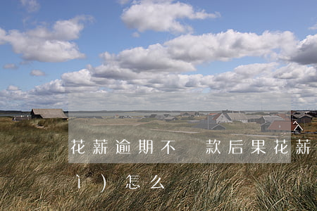 花薪逾期不還款后果(花薪貸款不還會(huì)怎么樣)