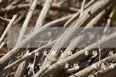花薪逾期了他說要起訴我是真的嗎-花薪逾期了他說要起訴我是真的嗎怎么辦