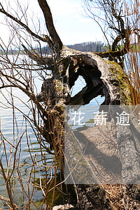 花薪逾期還款會怎樣(花薪貸款不還會怎么樣)