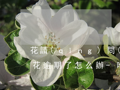 花請(qǐng)問(wèn)唄借唄唯品花逾期了怎么辦-唯品花逾期上征信嗎?花唄逾期有什么后果