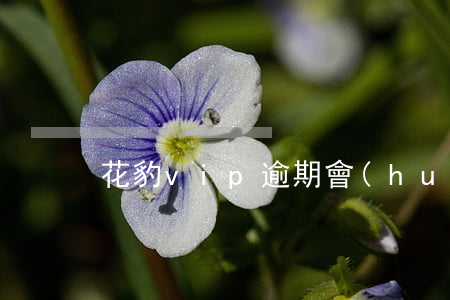 花豹vip逾期會(huì)背起訴嗎
