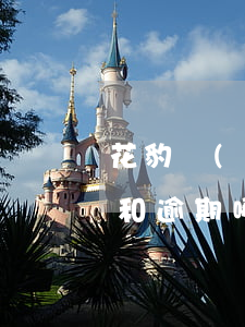 花豹網(wǎng)貸逾期上征信嗎(征信花和逾期哪個(gè)嚴(yán)重)