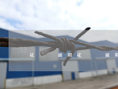 花貓貓逾期（花貓貓逾期）
