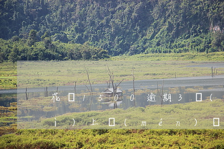 花貝1500逾期3個(gè)月會(huì)上門(mén)嗎-花貝逾期半月,以后代款