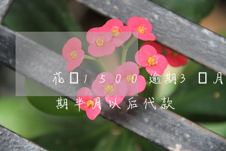 花貝1500逾期3個月會上門嗎-花貝逾期半月,以后代款