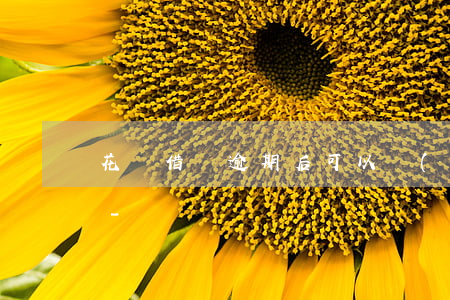 花貝借唄逾期后可以協(xié)商分期嗎-
