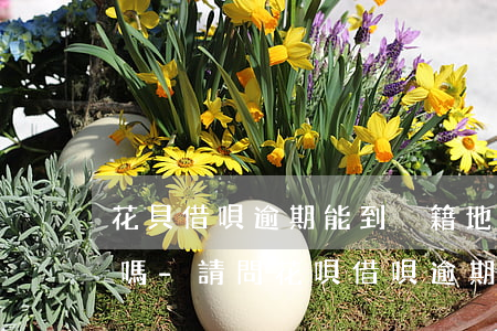 花貝借唄逾期能到戶籍地調(diào)查嗎-請問花唄借唄逾期會找到老家去嗎,要是找去的話好丟臉?