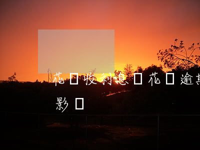 花貝收利息嗎（花貝逾期會(huì)有什么影響）