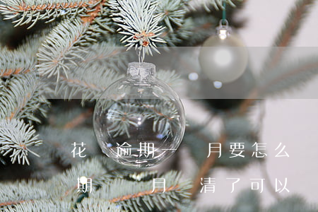 花貝逾期一個月要怎么樣還上-花貝借貝逾期兩個月還清了可以貨款買車嗎