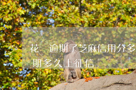 花貝逾期了芝麻信用分多少可以用-花貝逾期多久上征信