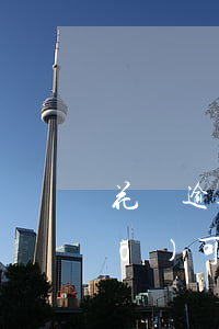 花貝逾期可以辦信用卡嗎(花唄逾期過(guò)可以辦理信用卡嗎?)
