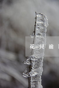 花貝逾期怎么還不了(花貝逾期多久上征信)