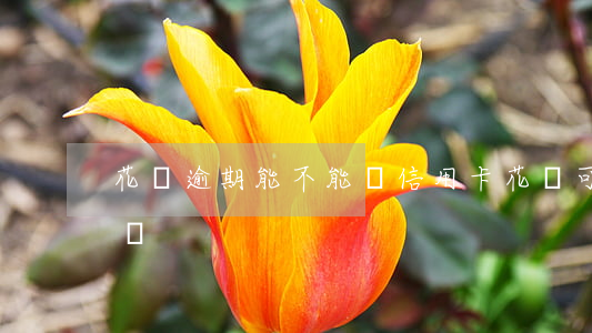 花貝逾期能不能辦信用卡(花唄可以還信用卡嗎)